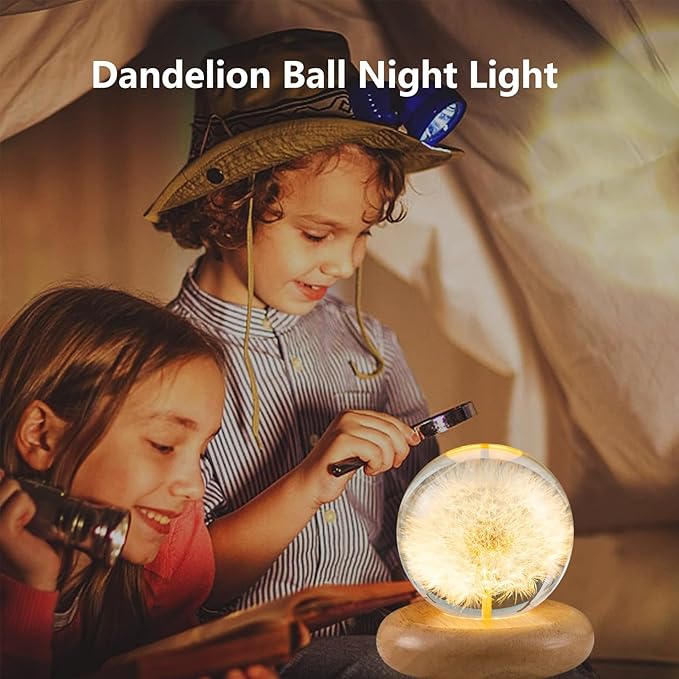 Dandelion Ball Night Light, 2.76 inch Ball Night Lamp with Wooden Base, Fall Decorations for Home Gift for Dad, Mom,Teacher, Birthday, Wedding Valentine's Father's Day Gifts (Large)
