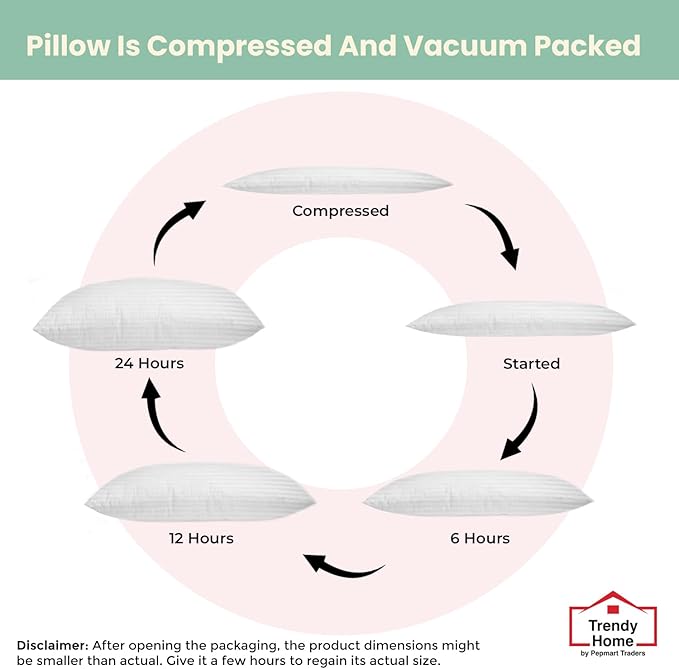 Trendy Home 24x24 Throw Pillow Insert (Set of 2, White) Bed and Couch Pillows Stuffer Hypoallergenic, Decorative Home Indoor Outdoor Sofa Pillow Filler (Machine Wash, 2 Pack)