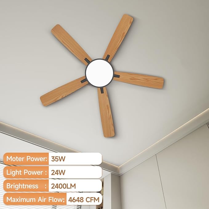 Ceiling Fans with Lights,52 inch,Quiet,Reversible Motor,Dimmable, Adjustable Color Temperature,6 Speeds,Timer, Low Profile Ceiling Fan for Bedroom,Living Room,Indoor/Outdoor Use (Black)