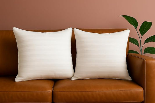 Trendy Home 20x20 Throw Pillow Insert (Set of 2, White) Bed and Couch Pillows Stuffer Hypoallergenic, Decorative Home Indoor Outdoor Sofa Pillow Filler (Machine Wash, 2 Pack)