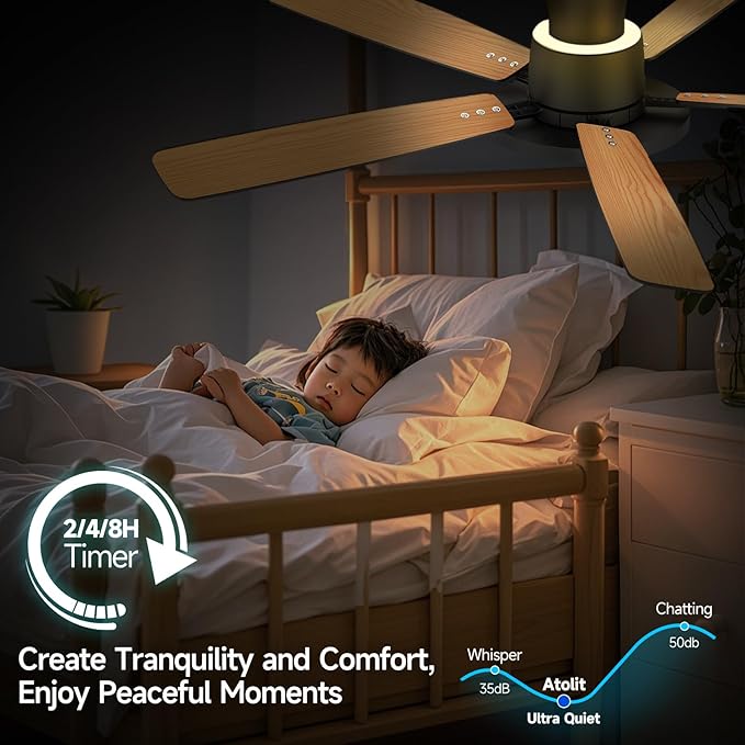 Ceiling Fans with Lights,52 inch,Quiet,Reversible Motor,Dimmable, Adjustable Color Temperature,6 Speeds,Timer, Low Profile Ceiling Fan for Bedroom,Living Room,Indoor/Outdoor Use (Black)