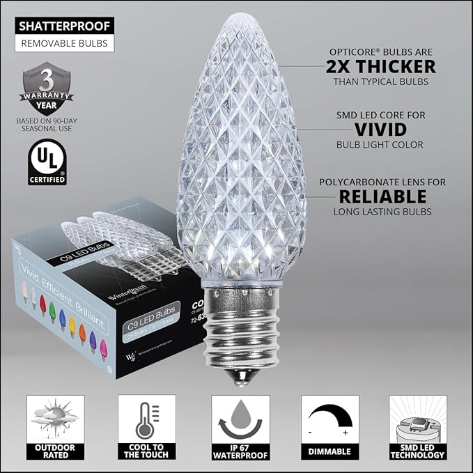 Wintergreen Lighting 25 OptiCore LED C9 Cool White Pathway Christmas Lights, Heavy Duty Bulbs for Driveway, Walkway Marker, 5" Commercial PathPRO Stakes, 18 Gauge Green Wire, 25'