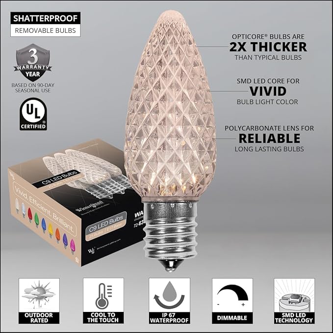 Wintergreen Lighting 25 OptiCore LED C9 Warm White Pathway Christmas Lights, Heavy Duty Bulbs for Driveway, Walkway Marker, 5" Commercial PathPRO Stakes, 18 Gauge Green Wire, 25'