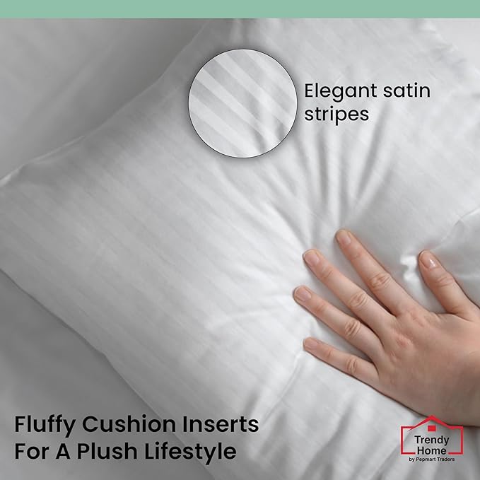 Trendy Home 22x22 Throw Pillow Insert (Set of 2, White) Bed and Couch Pillows Stuffer Hypoallergenic, Decorative Home Indoor Outdoor Sofa Pillow Filler (Machine Wash, 2 Pack)