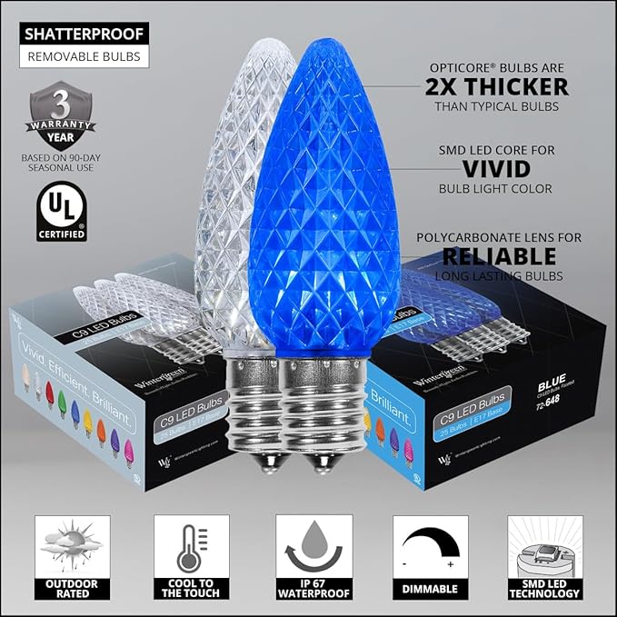 Wintergreen Lighting 100’ OptiCore LED Blue and White Christmas Pathway Lights, C9 Outdoor Christmas Lights, 4.5” Stakes, Green Wire Plug String Lights