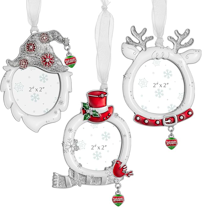 West style 2025 Snowflake Christmas Tree Ornaments Set 3 Pieces-Metallic Picture Frame Ornament Hanging Home Deco Gnomes Reindeer Hanging Pendant Holiday Keepsake Gift (White)