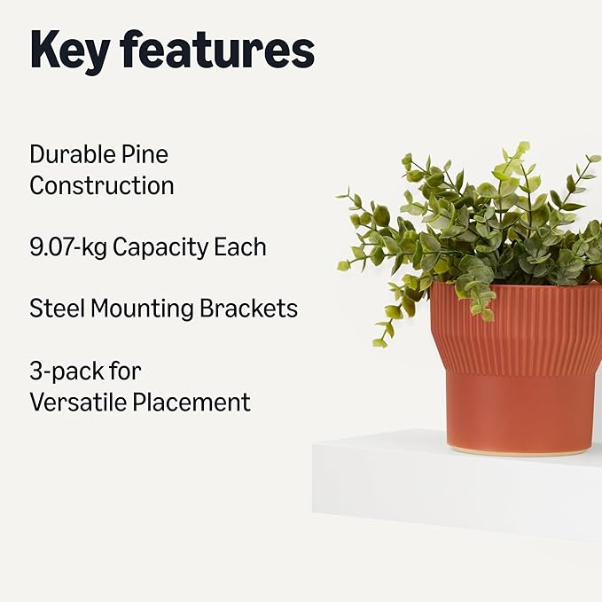 Amazon Basics Wood Floating Wall Shelves, Pack of 3, White, 15.8" x 5" x 1.8"