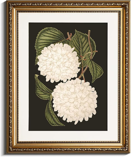 VIYYIEA Gold Framed Wall Art Canvas Print Home Decor White Hydrangea Oil Painting Canvas Prints Room Aesthetic Flower Prints Decoration Bedroom Bathroom Wall Decor Kitchen Office 13x16in