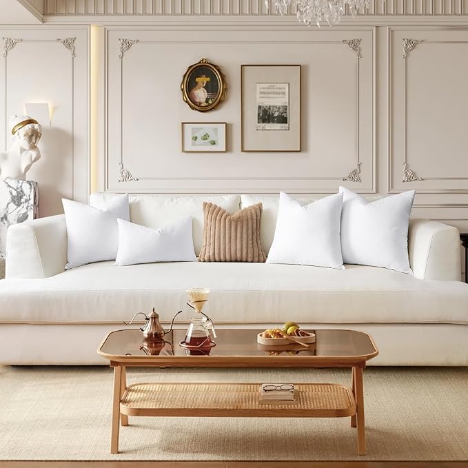 SAVORI Down Feather Throw Pillow Inserts 28x28 Euro Pillow Inserts, Soft Fluffy Throw Pillows with Cotton Cover, Decorative Throw Pillows for Couch Sofa Bed-White