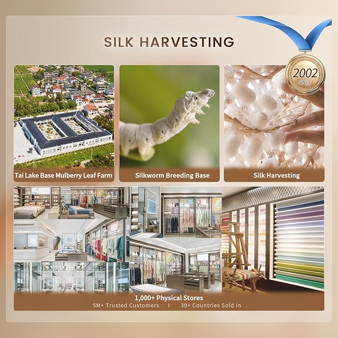 THXSILK Silk Sheet Set 5Pcs, 6A+ Top Grade 100% Pure Mulberry Silk Bed Sheets, Ultra Soft Durable Luxury Bedding Sets, 2 Fitted Sheet, 1 Flat Sheet and 2 Pillowcases (Split King, Champagne)