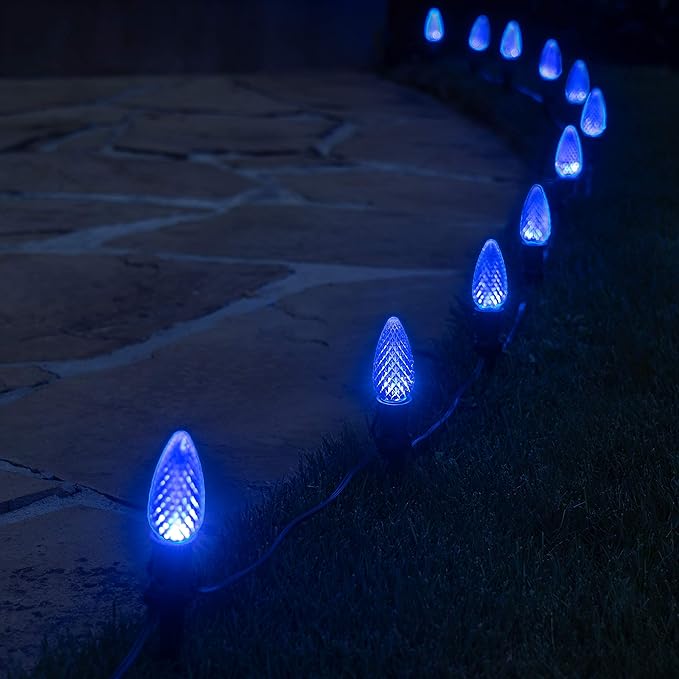 Wintergreen Lighting 50' OptiCore LED C9 Blue Pathway Christmas Lights, Heavy Duty Bulbs for Driveway, Walkway Marker, 5" Commercial PathPRO Stakes, 18 Gauge Green Wire