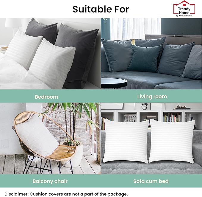 Trendy Home 22x22 Throw Pillow Insert (Set of 2, White) Bed and Couch Pillows Stuffer Hypoallergenic, Decorative Home Indoor Outdoor Sofa Pillow Filler (Machine Wash, 2 Pack)