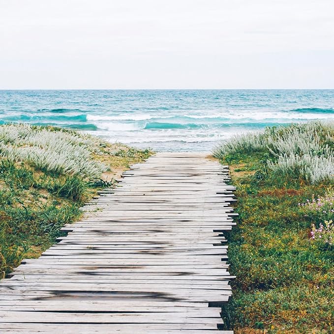 Aera Essential Oil Fragrance Diffuser + Beach House Scent Bundle for Large Rooms (500–1000 Sq Ft), Alexa Compatible + App Controlled Aromatherapy Waterless Diffuser – Hypoallergenic, Family & Pet Safe