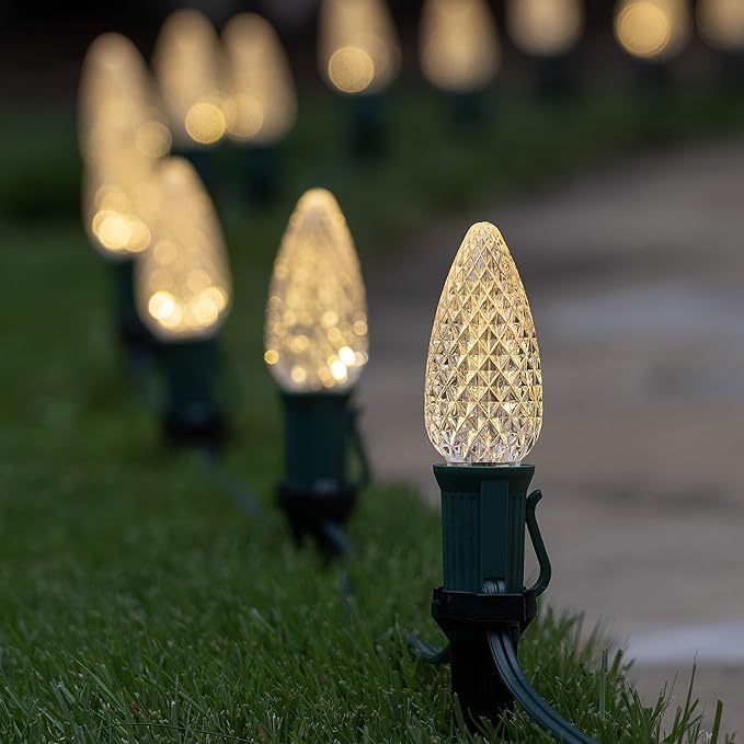 Wintergreen Lighting 50' OptiCore LED C9 Warm White Pathway Christmas Lights, Heavy Duty Bulbs for Driveway, Walkway, 5" Commercial PathPRO Stakes, 18 Gauge Green Wire